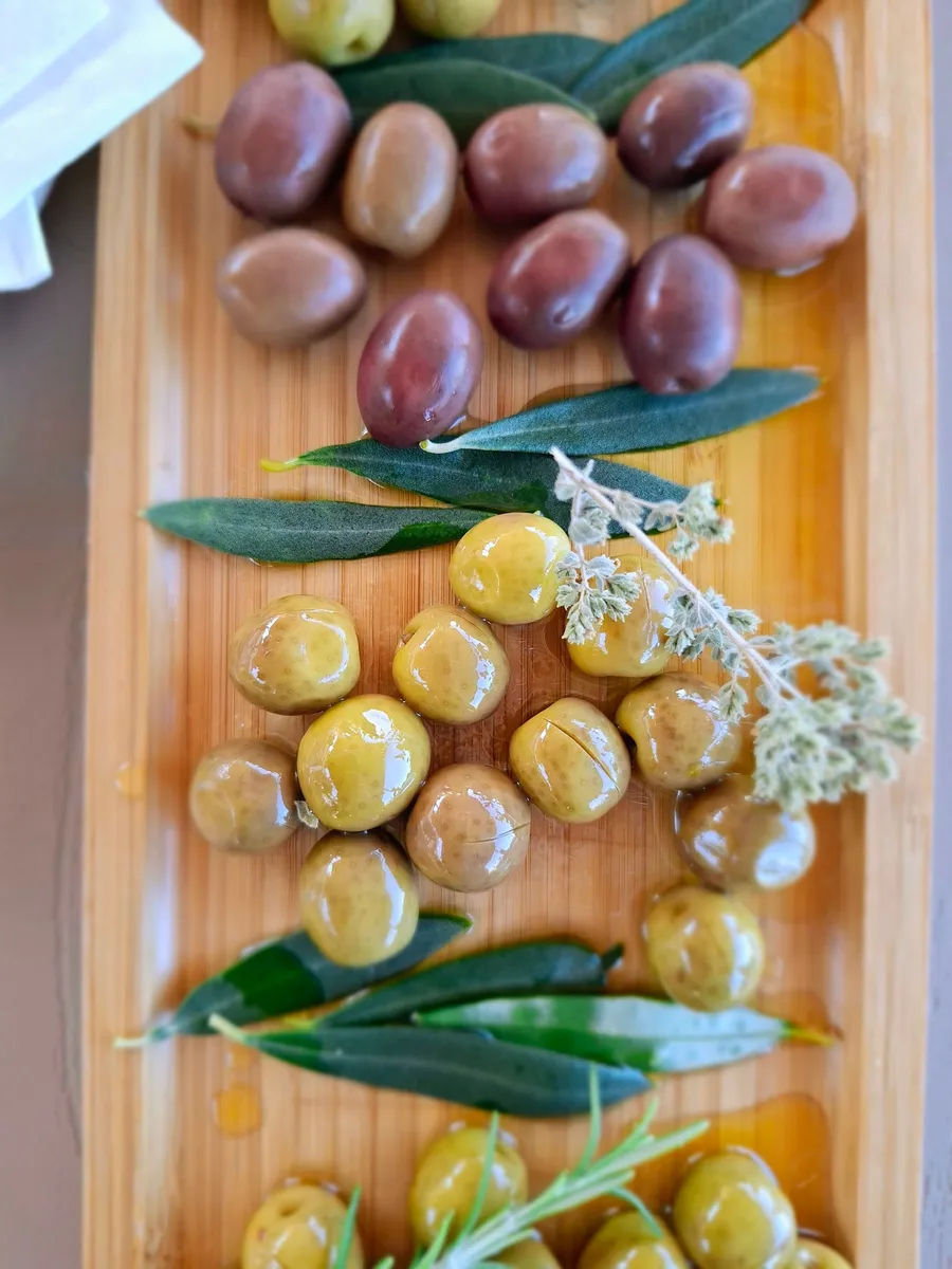 Olive harvest in the groves of Lukovë